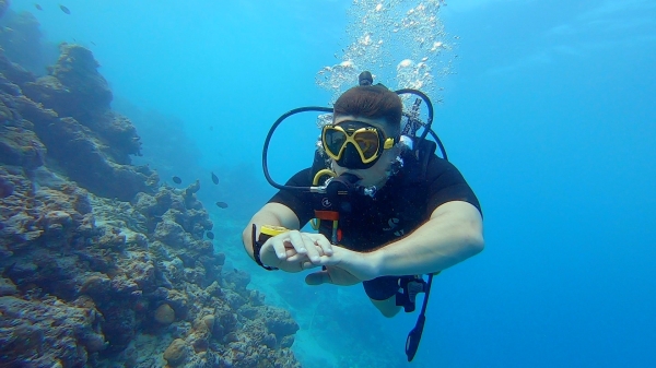 Diving & Snorkeling